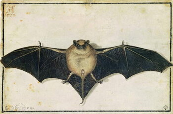 Canvas Print Bat, 1522