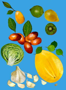 Canvas Print Fruit & veggies 2020