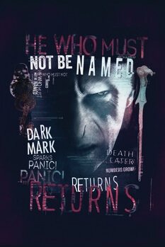 Canvas Print Harry Potter - He returns