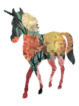 Canvas Print Horse