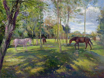 Canvas Print In the Rectory Paddock, 1993