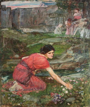 Canvas Print Maidens