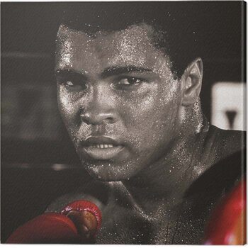 Canvas Print Muhammad Ali - Boxing Gloves