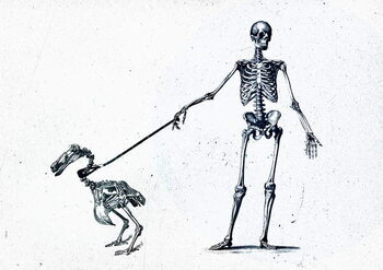 Canvas Print Walking my dodo, 2015