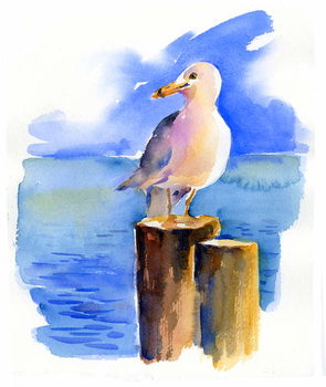 Canvas Seagull on dock, 2014,