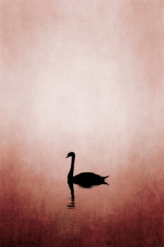 Print op canvas Swan Lake