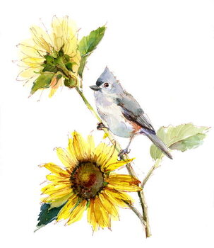 Canvas Titmouse with Sunflower, 2016,