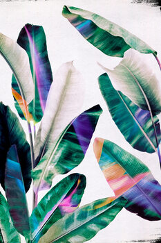 Canvas Tropical #1