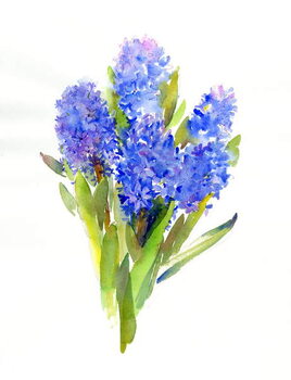 Schilderij op canvas Blue Hyacinth, 2014,