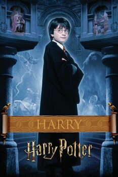 Schilderij op canvas Harry Potter - Harry