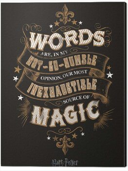 Schilderij op canvas Harry Potter - Words