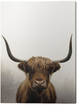 Schilderij op canvas Ian Winstanley - Douglas