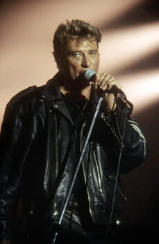 Schilderij op canvas Johnny Hallyday on Stage in 1987
