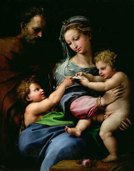 Obraz na plátne Madonna della rosa