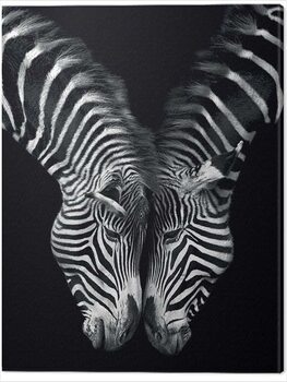 Schilderij op canvas Marina Cano - Together