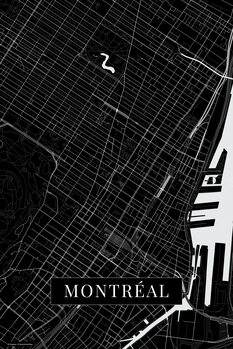 Obraz na plátne Montreal black