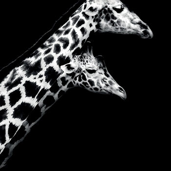 Schilderij op canvas Nicolas Evariste - In Love II