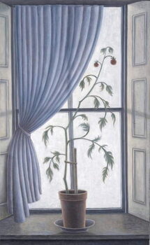 Obraz na plátne Plant in Window, 2003