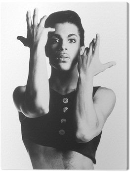 Obraz na plátne Prince - Parade