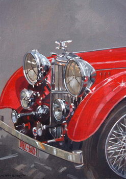Obraz na plátne Red Sp.25 Alvis