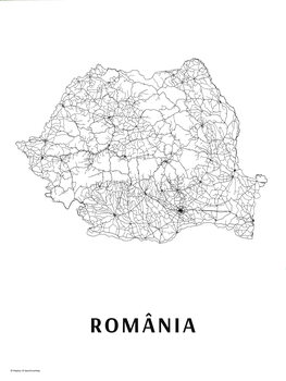 Schilderij op canvas România black & white