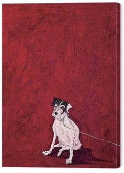 Schilderij op canvas Sam Toft - Lucky Legsie