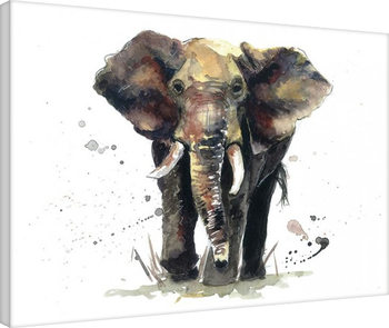 Sarah Stokes - Thunder Canvas