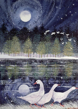 Obraz na plátne Snow Geese, 1995