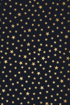 Obraz na plátne Stardust At Midnight