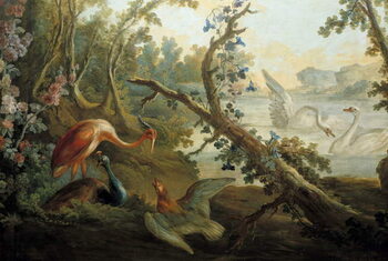 Schilderij op canvas Swans and peacocks