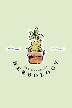 Schilderij op canvas The Mandrake - Herbology