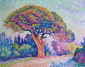 Schilderij op canvas The Pine Tree at St. Tropez, 1909