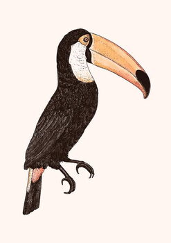 Schilderij op canvas Toco _ Color version