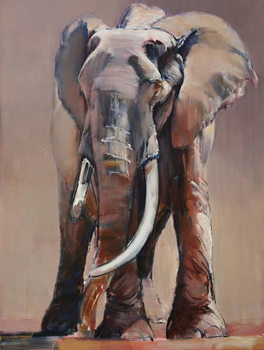 Obraz na plátne Venerable Old Matriarch, 2018,