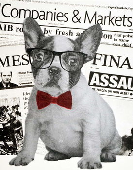 Schilderij op canvas Wall street dog, 2015,