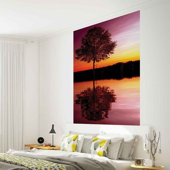Carta da parati Albero Riflesso Lago Tramonto Natura