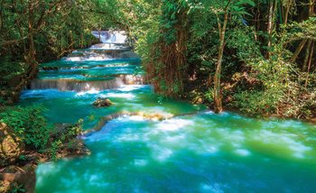Carta da parati Cascate Alberi Foresta Natura