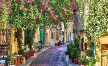 Carta da parati  Fiori Strada Caffè