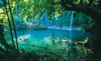 Carta da parati Foresta Tropicale Cascate Laguna