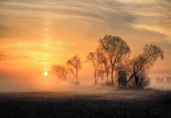 Carta da parati  Misty Sunset