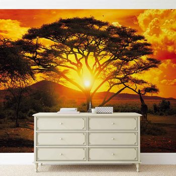 Carta da parati Tramonto Africano Albero Natura