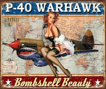 Cartel de metal P-40 Warhawk