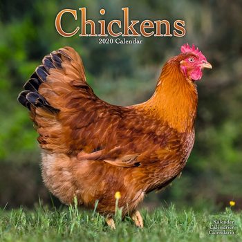 Ημερολόγιο 2020  Chickens