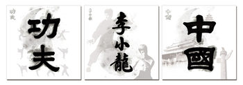 China Signs - Kung Fu. Bruce Lee, China Obraz