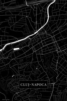 Tablou pe pânză Cluj Napoca black