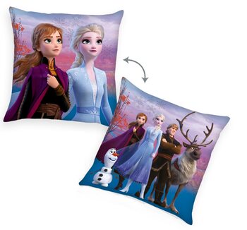 Coussin Frozen 2 - Characters