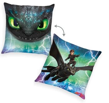 Coussin How To Train Your Dragon - Toothless