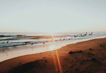 Cuadro en vidrio Sunset Flight