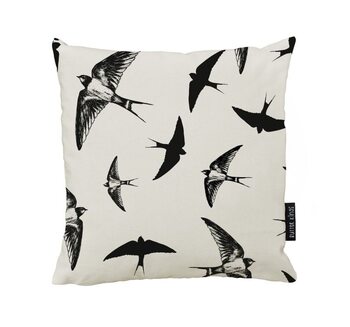 Cushion Swallow Bird