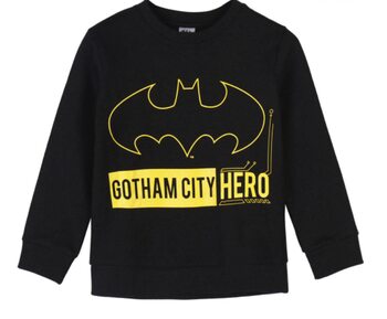 Luvjacka DC - Batman - Gotham City Hero